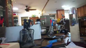 lapse_video_20260627_115507_web_480p_1M.mp4